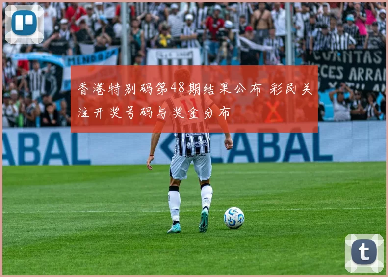 香港特别码第48期结果公布 彩民关注开奖号码与奖金分布