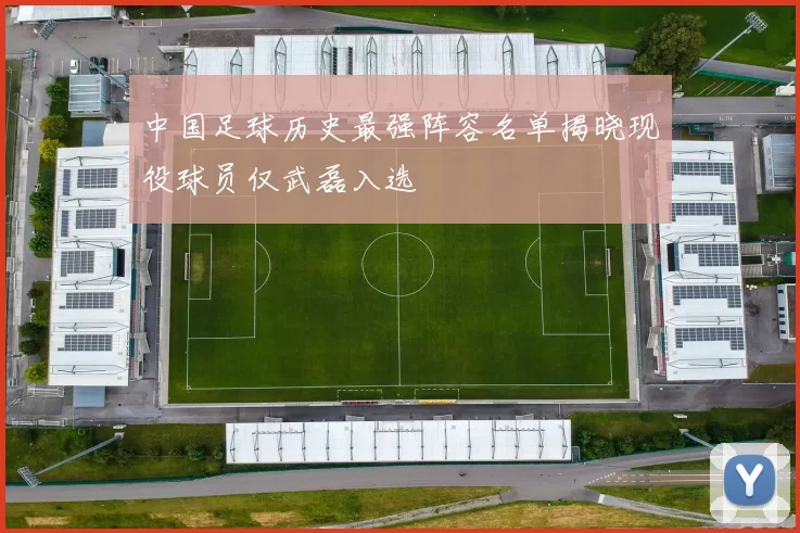 中国足球历史最强阵容名单揭晓现役球员仅武磊入选