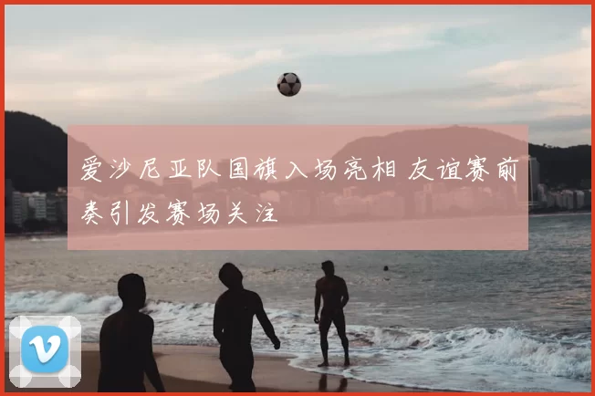 爱沙尼亚队国旗入场亮相 友谊赛前奏引发赛场关注