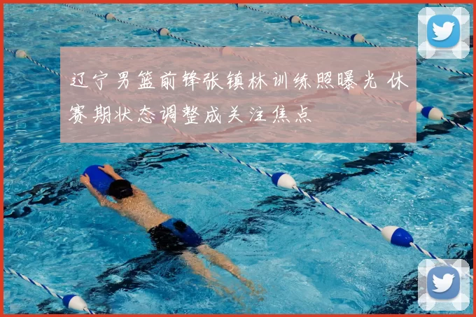 辽宁男篮前锋张镇林训练照曝光 休赛期状态调整成关注焦点