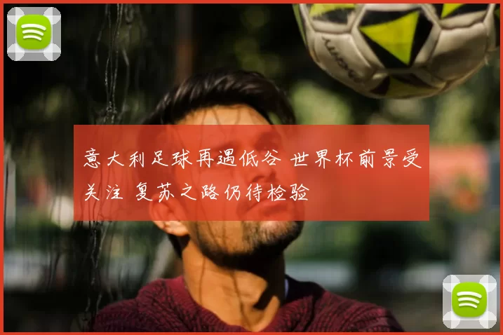 意大利足球再遇低谷 世界杯前景受关注 复苏之路仍待检验