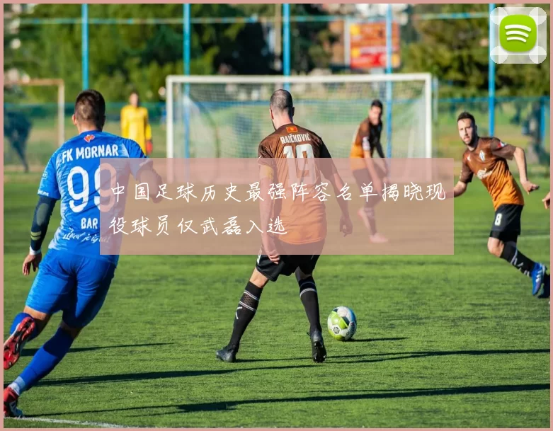 中国足球历史最强阵容名单揭晓现役球员仅武磊入选