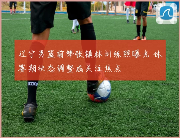 辽宁男篮前锋张镇林训练照曝光 休赛期状态调整成关注焦点