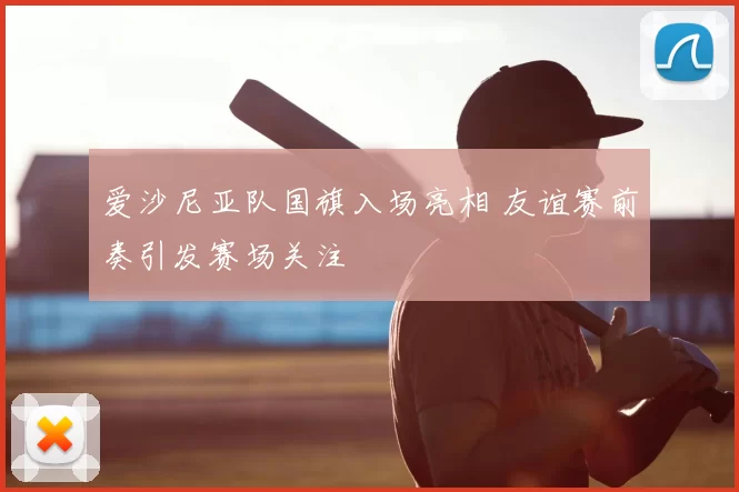 爱沙尼亚队国旗入场亮相 友谊赛前奏引发赛场关注
