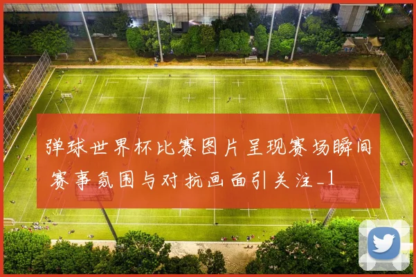 弹球世界杯比赛图片呈现赛场瞬间 赛事氛围与对抗画面引关注_1